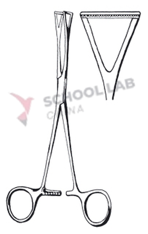 Forceps,tissue,Duval,230mm